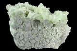 Green Prehnite Crystal Cluster - Morocco #127386-1
